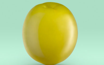 La reinvención de las aceitunas llega a Madrid Fusión 2020