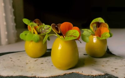 Susi Díaz: “Unas Aceitunas de Autor pueden ser las mejores aliadas contra el calor”